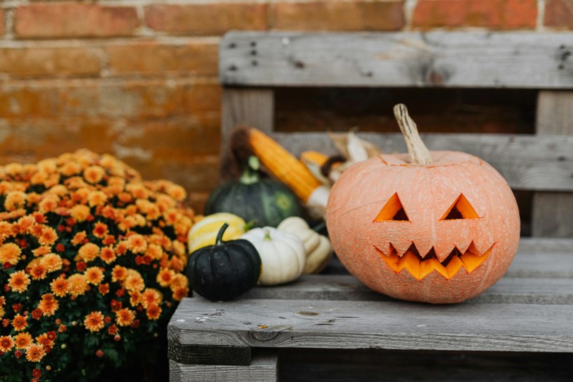 Halloween Events for Kids and Families in Rockland & Bergen